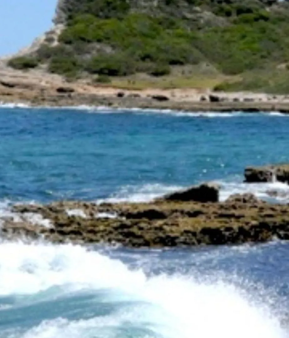 La Cabane De La Pointe Saint-Francois